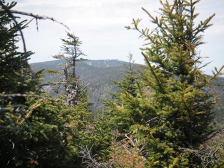 Mt Snow from Haystack, 26May08